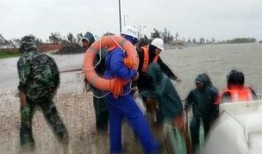 湛江最新农民爆料,揭秘湛江乡村发展新动态