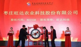 新闻爆料中视频伙伴计划,共筑新媒体生态新格局